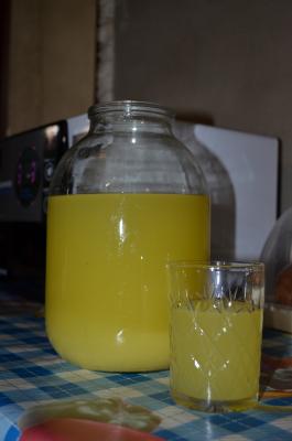 Прикрепленное изображение: DSC_0246.JPG